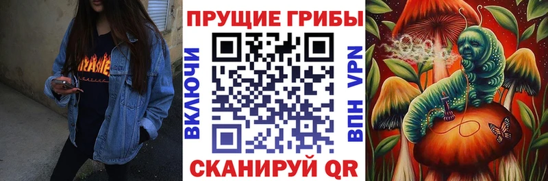 ОМГ ОМГ ONION  Усть-Катав  Галлюциногенные грибы Psilocybine cubensis 